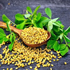 BỘT METHI